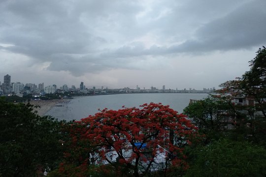 Tour image 2