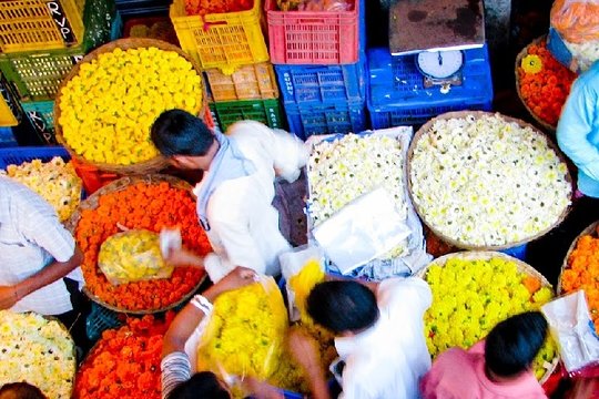 Tour image 3