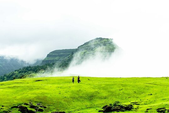 Tour image 1