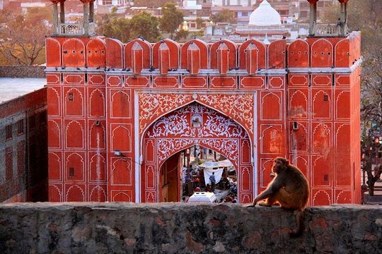 Tour image 4